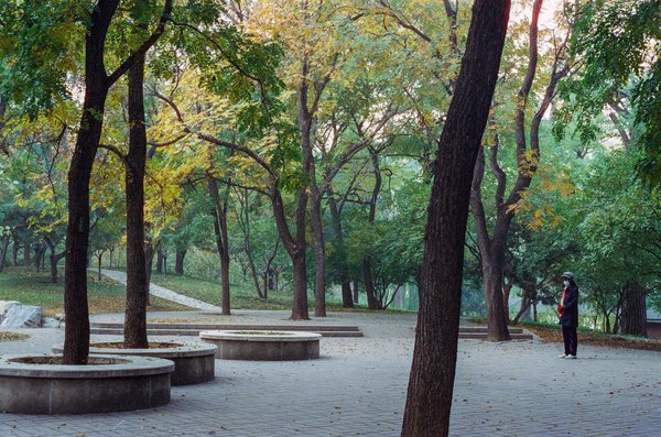 Carrière épanouissante dans le médico-social : formation essentielle