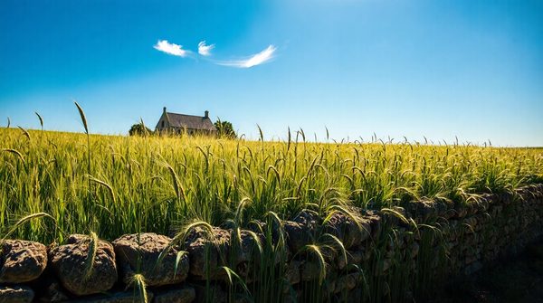 Les sites chanvre incontournables pour une expérience optimale